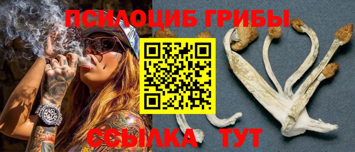 Псилоцибиновые грибы Psilocybe Троицк
